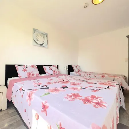 Devant Les Thiers Tatil Evi Lierneux